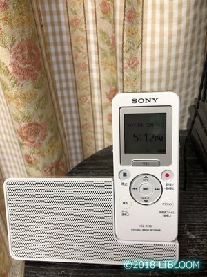レビュー】ポータブルラジオレコーダー SONY ICZ-R110 | LIBLOOM