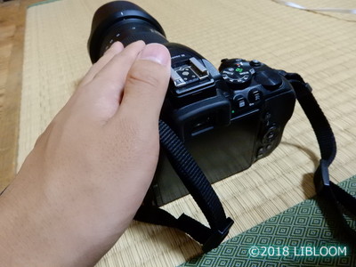 【レビュー】デジタル一眼レフカメラ Nikon D5600の口コミ｜16歳の使い方 - LIBLOOM