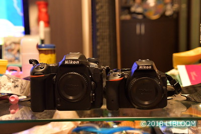 【レビュー】Nikon デジタル一眼レフカメラ D500｜D5500と比較 - LIBLOOM